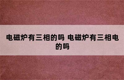 电磁炉有三相的吗 电磁炉有三相电的吗